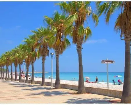 Apartment Frente Al Mar